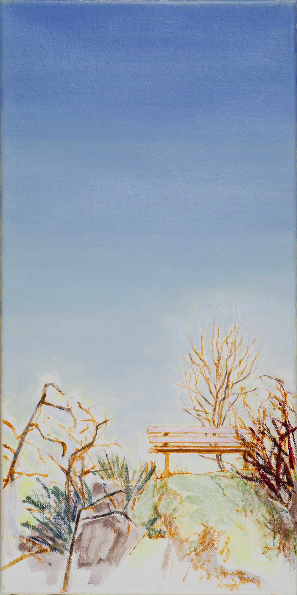 Bank auf einem Hügel mit bauem Himmel