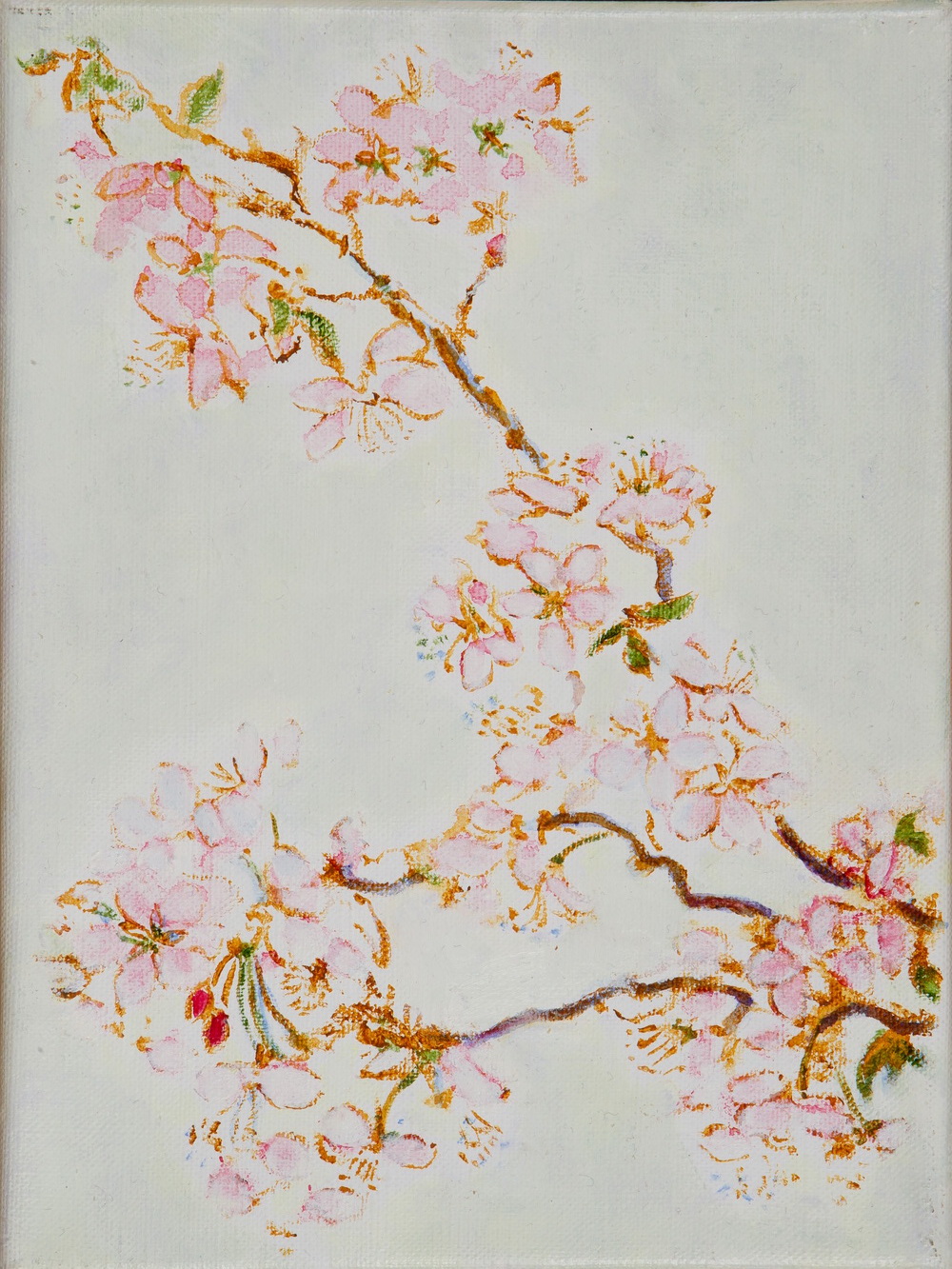 Zweige mit weissrosa Blüten