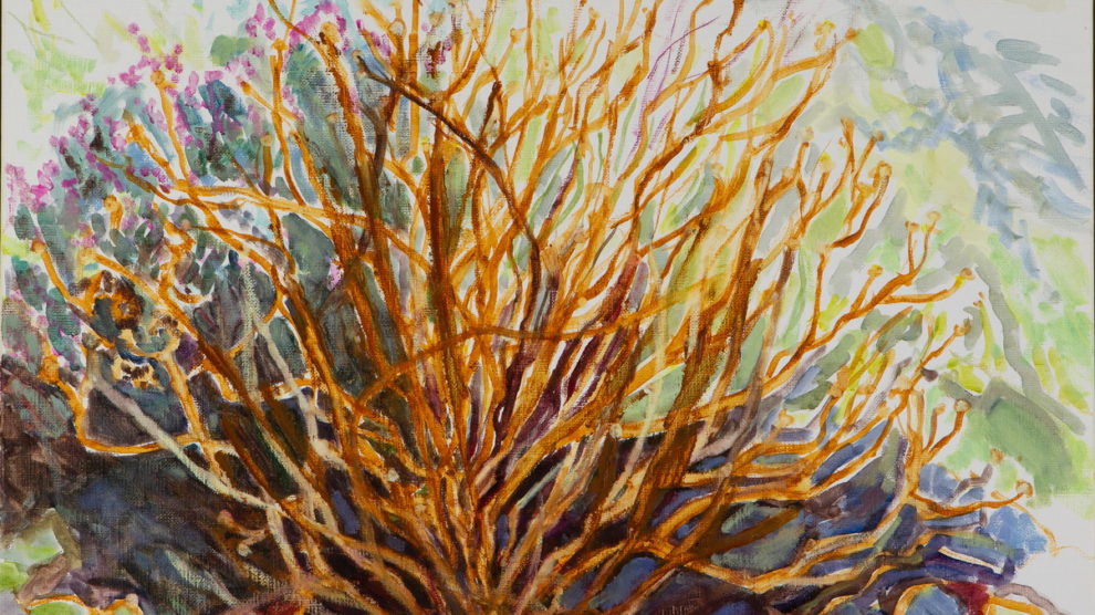 exhibition: illusion looking at illusion